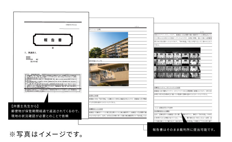 現地確認調査報告書